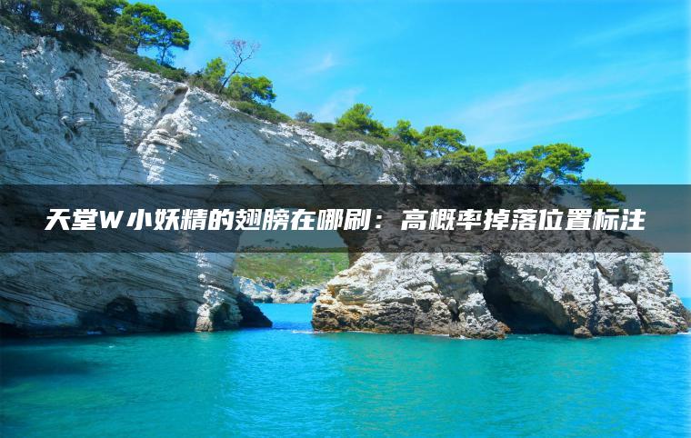 天堂W小妖精的翅膀在哪刷:高概率掉落位置标注 天堂W小妖精的翅膀在哪刷:高概率掉落位置标注